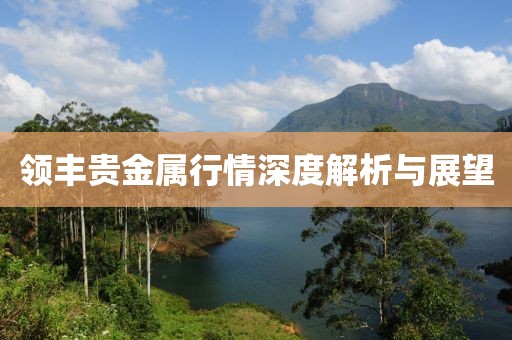 领丰贵金属行情深度解析与展望