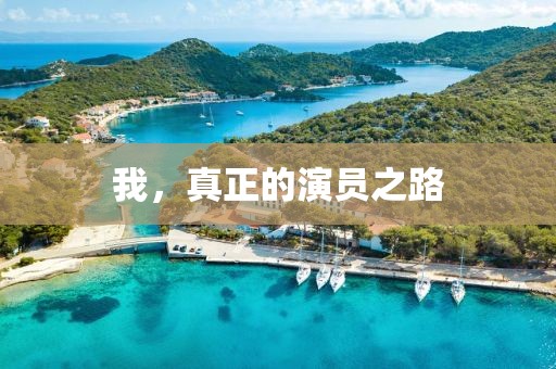 我，真正的演员之路
