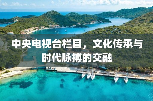 中央电视台栏目，文化传承与时代脉搏的交融