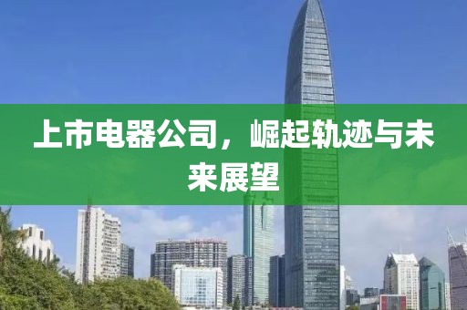 上市电器公司，崛起轨迹与未来展望