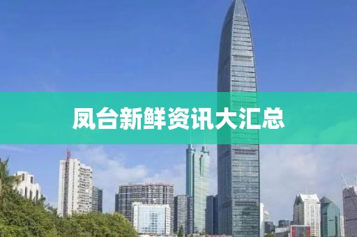凤台新鲜资讯大汇总