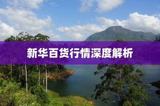 新华百货行情深度解析