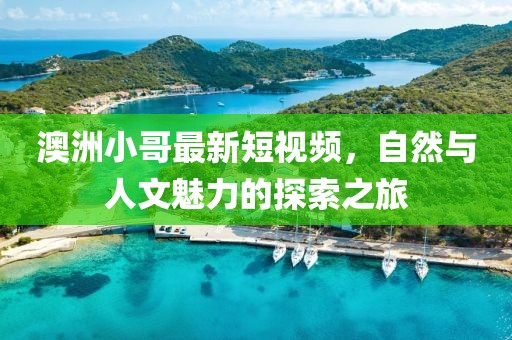 2025年3月19日 第3页