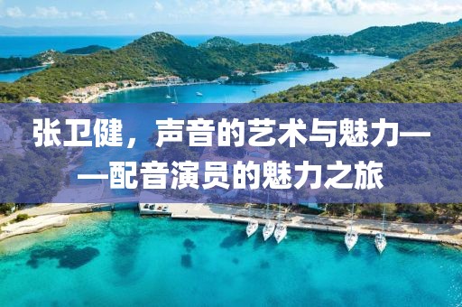 张卫健，声音的艺术与魅力——配音演员的魅力之旅