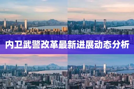 内卫武警改革最新进展动态分析