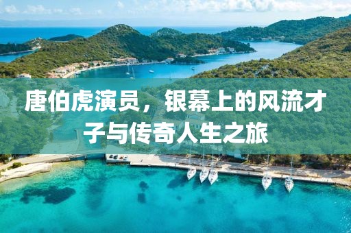唐伯虎演员，银幕上的风流才子与传奇人生之旅