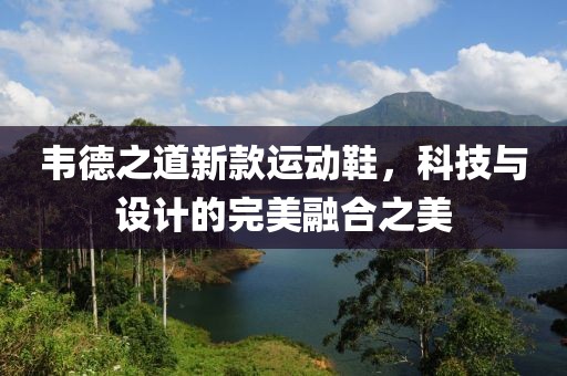 韦德之道新款运动鞋，科技与设计的完美融合之美