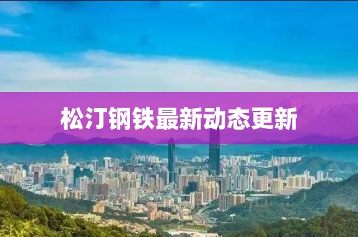 松汀钢铁最新动态更新