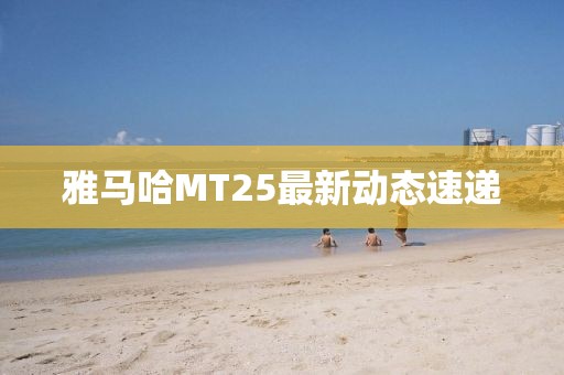 雅马哈MT25最新动态速递