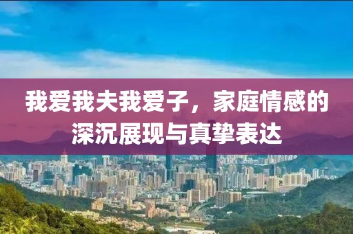 我爱我夫我爱子，家庭情感的深沉展现与真挚表达