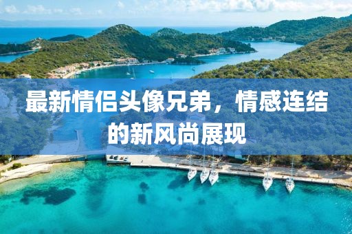 最新情侣头像兄弟，情感连结的新风尚展现