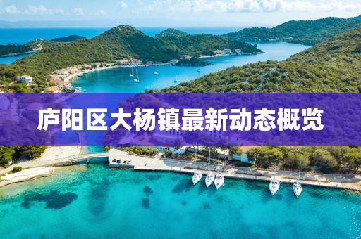 庐阳区大杨镇最新动态概览