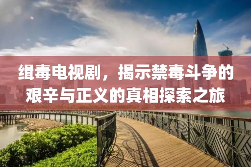 缉毒电视剧，揭示禁毒斗争的艰辛与正义的真相探索之旅