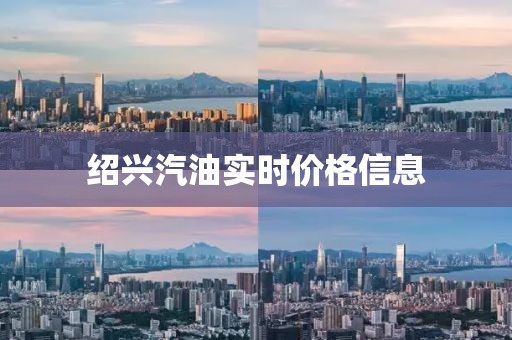 绍兴汽油实时价格信息