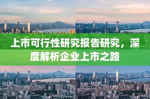 上市可行性研究报告研究，深度解析企业上市之路