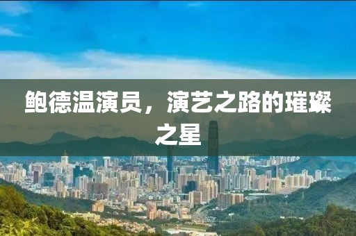 鲍德温演员，演艺之路的璀璨之星