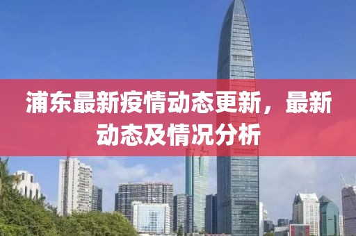 浦东最新疫情动态更新，最新动态及情况分析