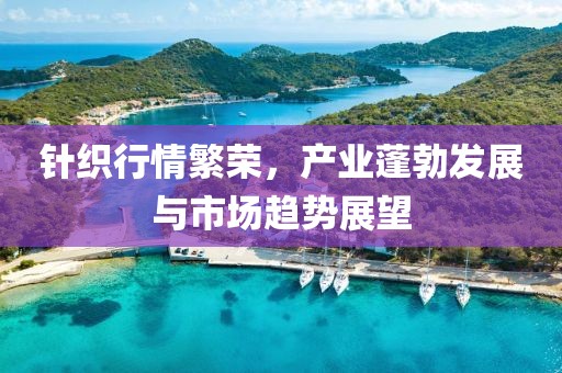 针织行情繁荣，产业蓬勃发展与市场趋势展望