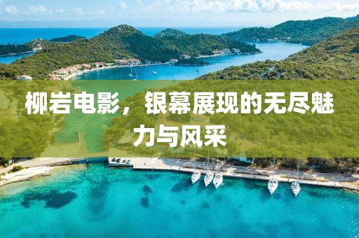 柳岩电影，银幕展现的无尽魅力与风采
