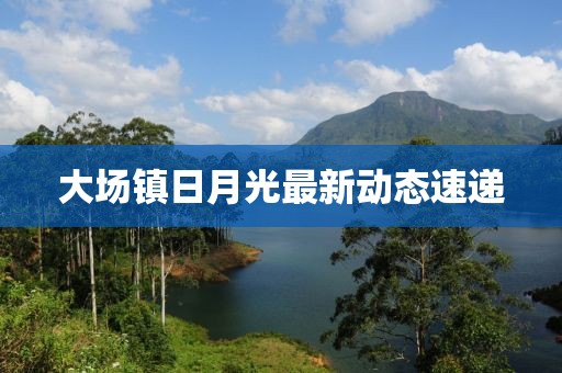 大场镇日月光最新动态速递