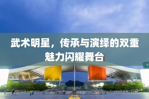武术明星，传承与演绎的双重魅力闪耀舞台