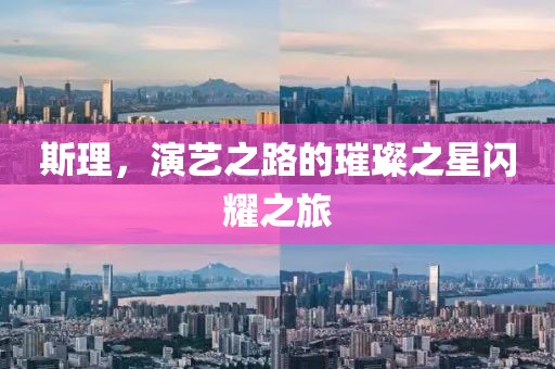 斯理，演艺之路的璀璨之星闪耀之旅