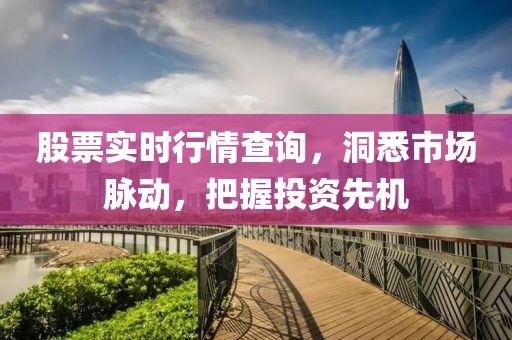 股票实时行情查询，洞悉市场脉动，把握投资先机