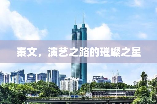 秦文，演艺之路的璀璨之星