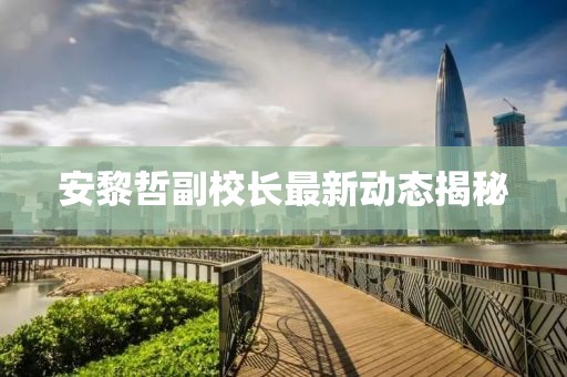 安黎哲副校长最新动态揭秘