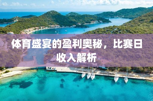 体育盛宴的盈利奥秘，比赛日收入解析