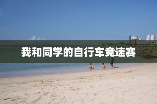 我和同学的自行车竞速赛
