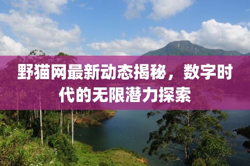 野猫网最新动态揭秘，数字时代的无限潜力探索