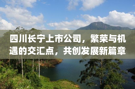 四川长宁上市公司，繁荣与机遇的交汇点，共创发展新篇章