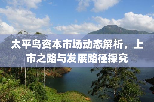 太平鸟资本市场动态解析，上市之路与发展路径探究