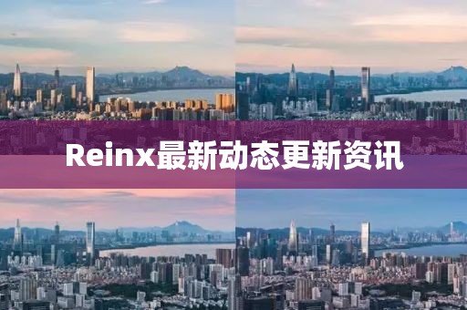 Reinx最新动态更新资讯