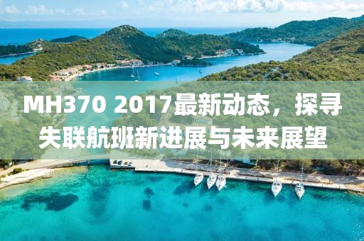 MH370 2017最新动态，探寻失联航班新进展与未来展望