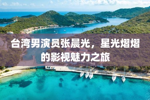 台湾男演员张晨光，星光熠熠的影视魅力之旅
