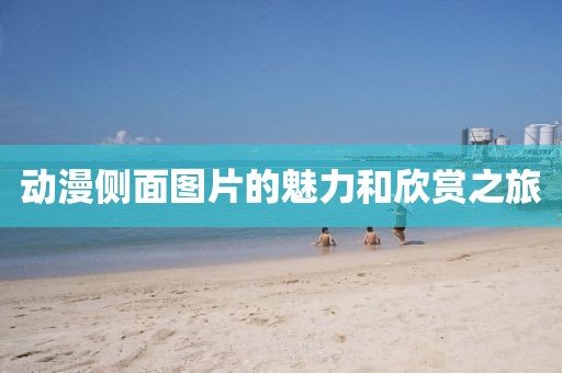 动漫侧面图片的魅力和欣赏之旅