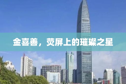 金喜善，荧屏上的璀璨之星
