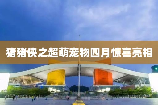 猪猪侠之超萌宠物四月惊喜亮相