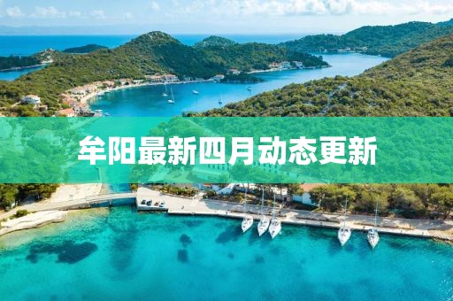 牟阳最新四月动态更新