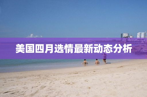 美国四月选情最新动态分析