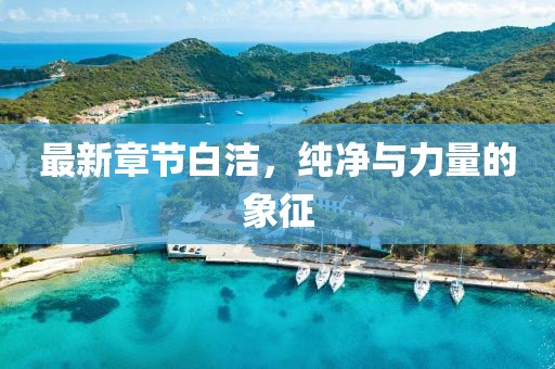 最新章节白洁，纯净与力量的象征