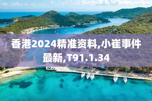 香港2024精准资料,小崔事件最新,T91.1.34