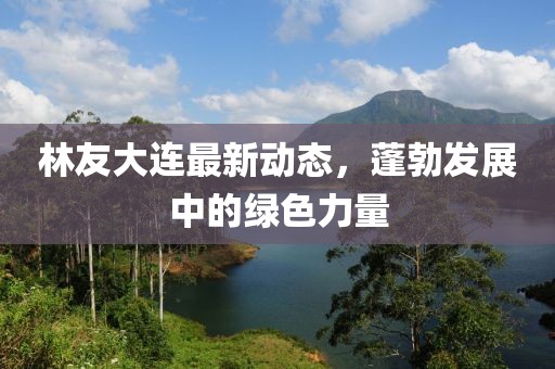 林友大连最新动态，蓬勃发展中的绿色力量