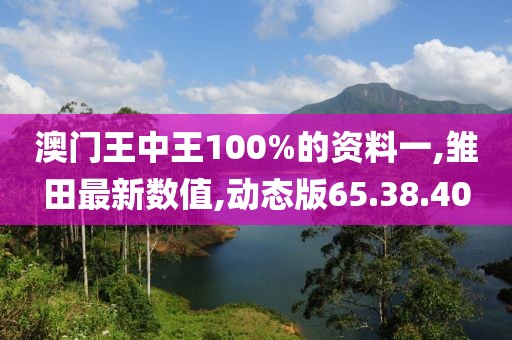 澳门王中王100%的资料一,雏田最新数值,动态版65.38.40