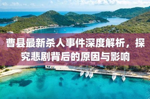2025年3月 第7页