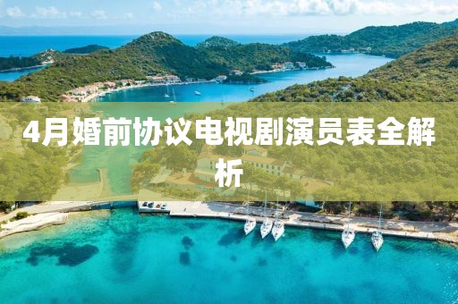 4月婚前协议电视剧演员表全解析
