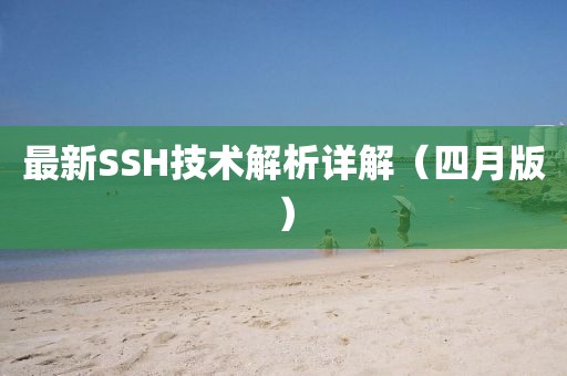 最新SSH技术解析详解（四月版）