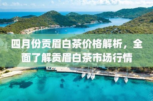 四月份贡眉白茶价格解析，全面了解贡眉白茶市场行情